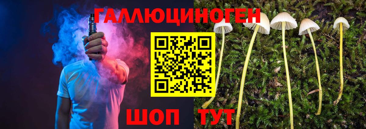 Псилоцибиновые грибы Magic Shrooms Екатеринбург